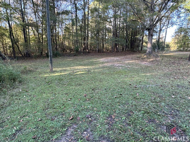 135 Daniels Road Rayle, GA 30660 - Photo 12 of 13