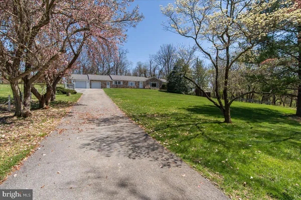 a view of backyard with green space