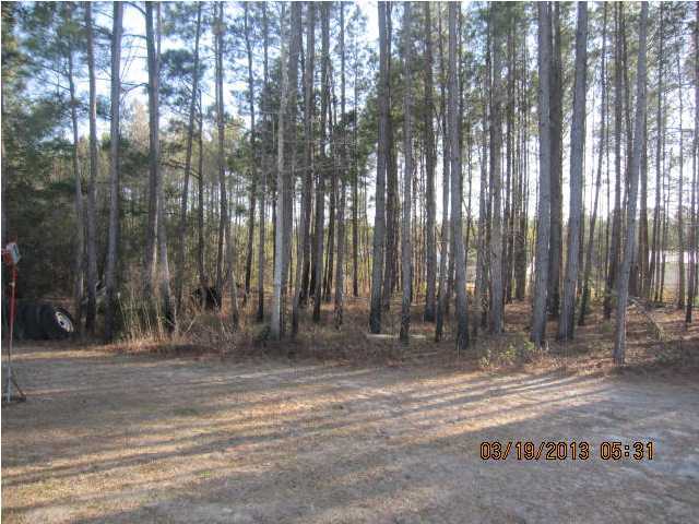 3387 Cane Branch Road Walterboro, SC 29488 - Photo 12 of 17 Additional Photo