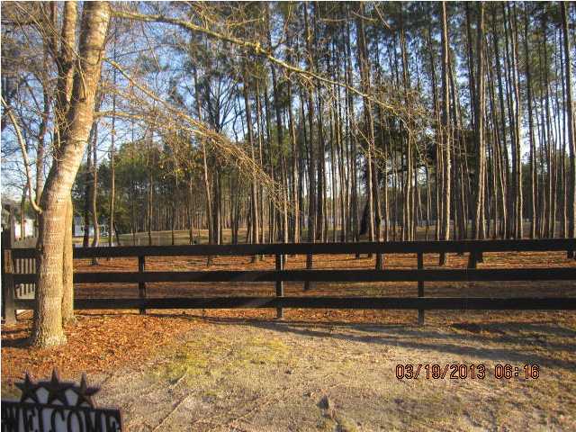 3387 Cane Branch Road Walterboro, SC 29488 - Photo 14 of 17 Additional Photo