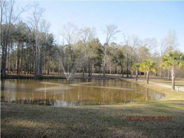 3387 Cane Branch Road Walterboro, SC 29488 - Photo 17 of 17 Additional Photo