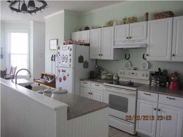 3387 Cane Branch Road Walterboro, SC 29488 - Photo 5 of 17 Additional Photo