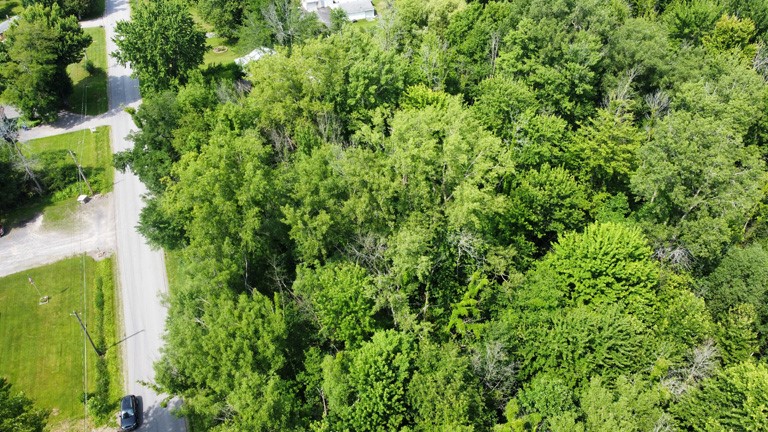 Kelly Road Sodus, NY 14551 - Photo 3 of 3