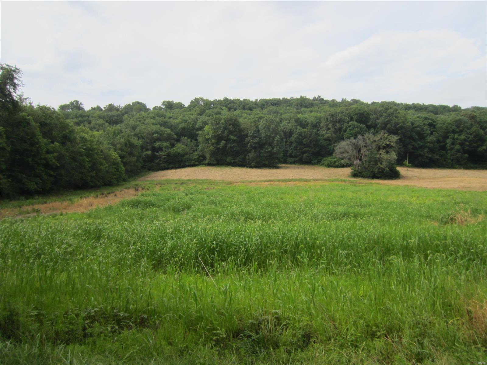 0 Rosedale Road Grafton, IL 62037 - Photo 1 of 13