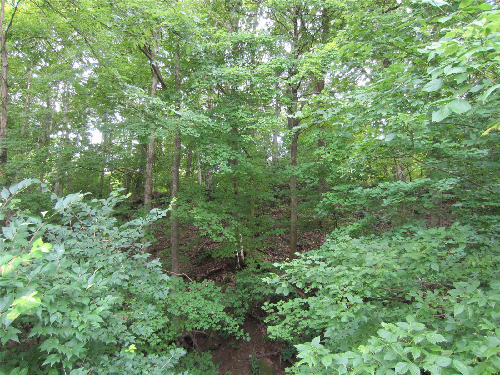 0 Rosedale Road Grafton, IL 62037 - Photo 12 of 13