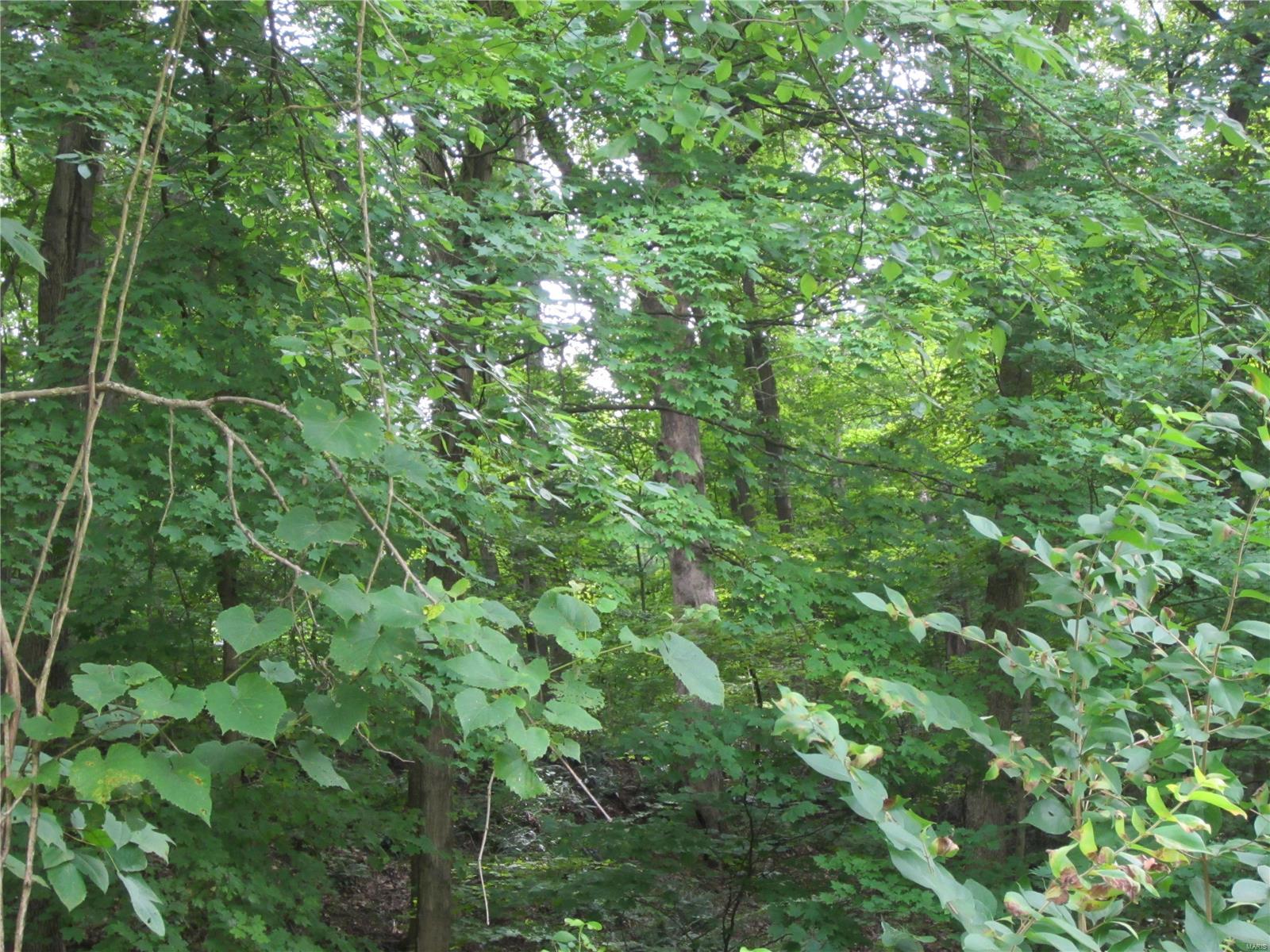 0 Rosedale Road Grafton, IL 62037 - Photo 8 of 13