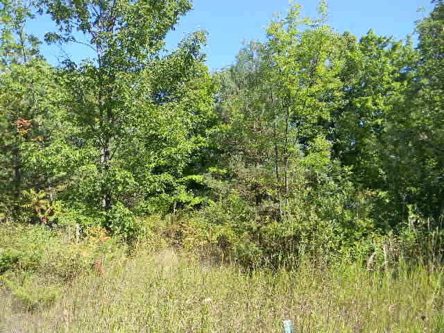 T/b/d Hillcrest Road Sister Bay, WI 54234 - Photo 1 of 1