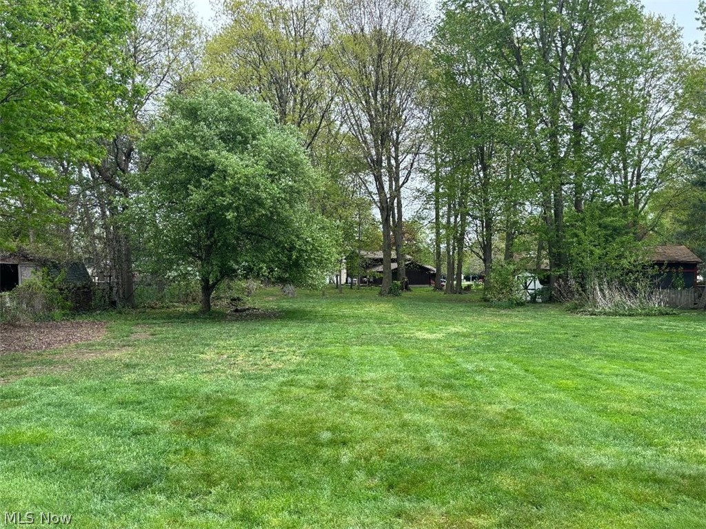 5595 Meister Road Mentor, OH 44060 - Photo 25 of 26 View of backyard line goes to tree with yellow ribbon