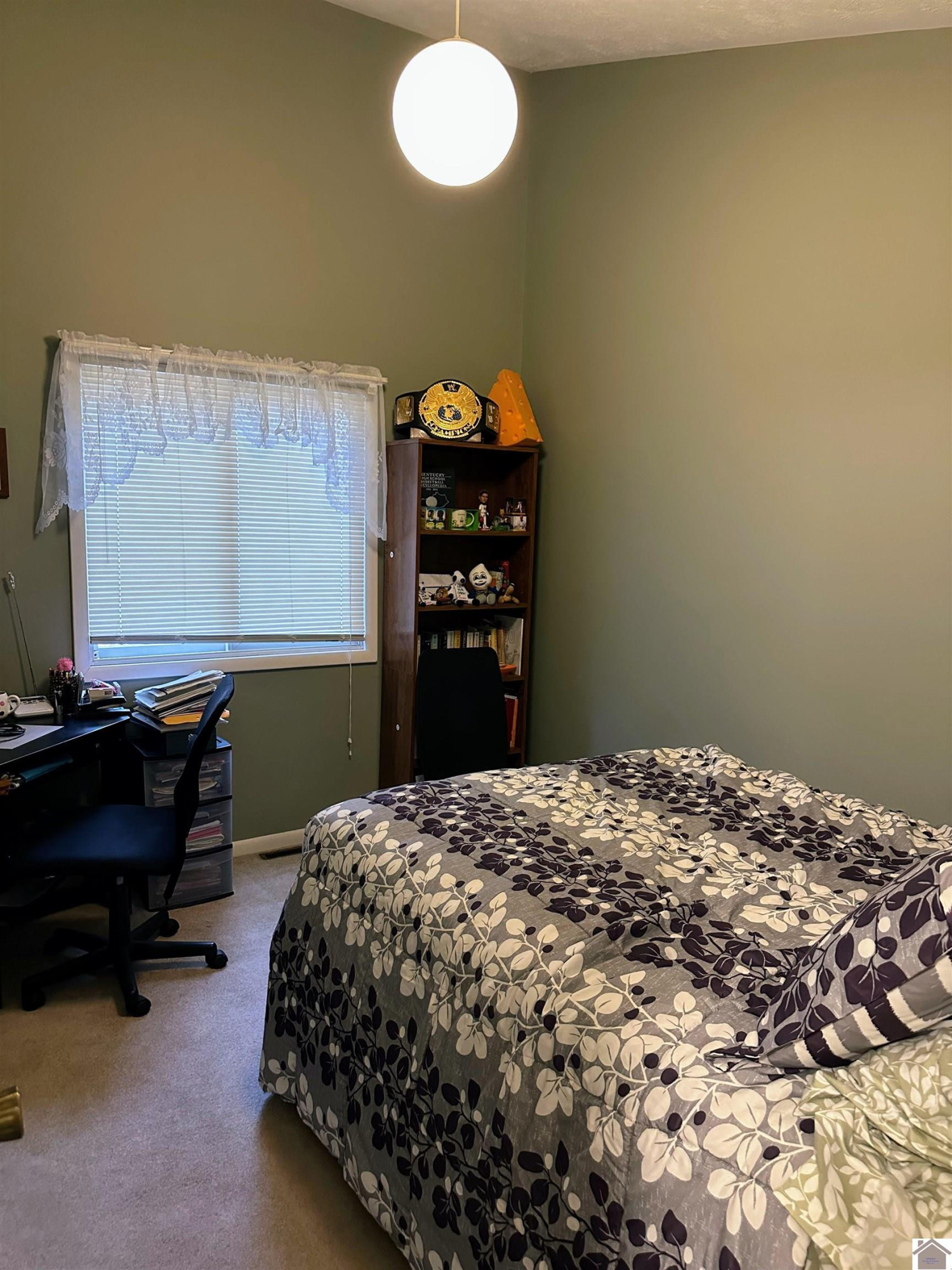 97 Allegheny Road Gilbertsville, KY 42044 - Photo 11 of 21 Photo 11