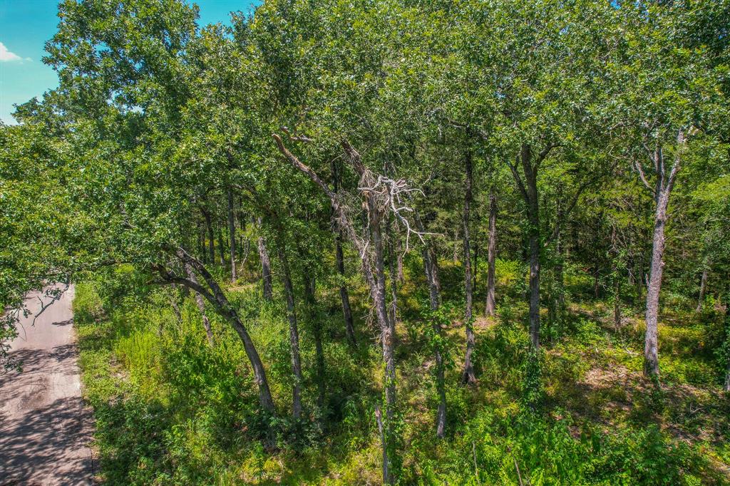5420 Point Tx 75472 Cumby, TX 75433 - Photo 2 of 8 a view of a lush green forest