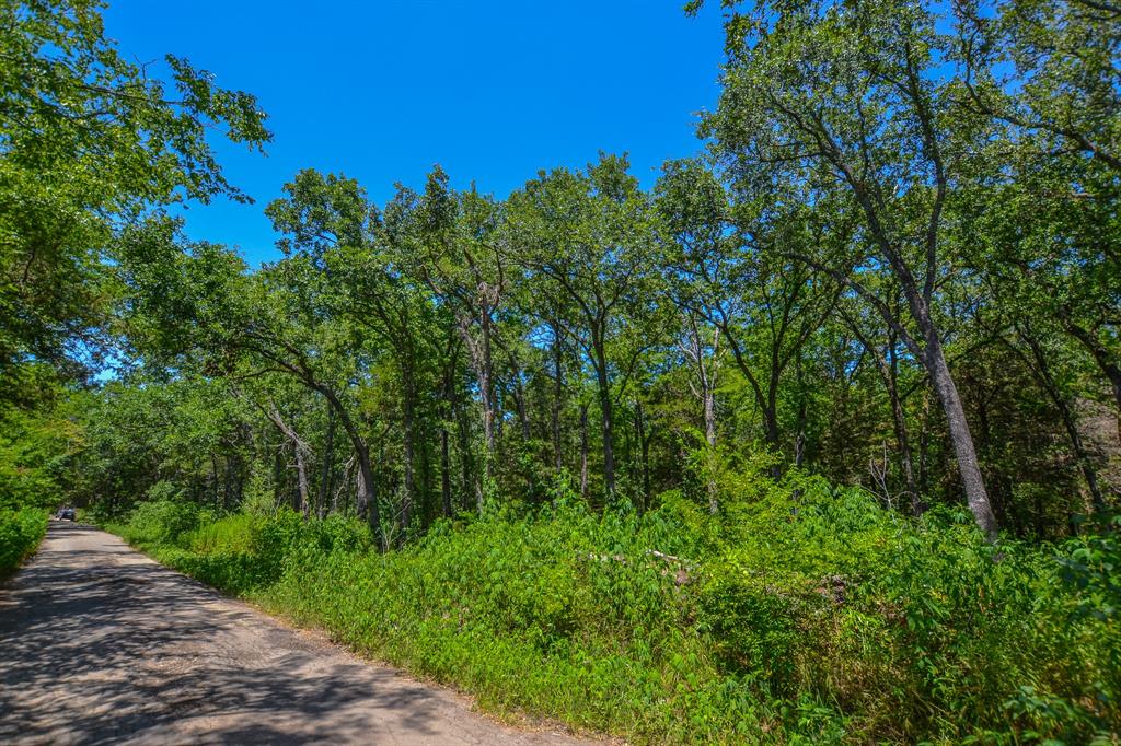 5420 Point Tx 75472 Cumby, TX 75433 - Photo 3 of 8 a view of a yard with plants and large trees