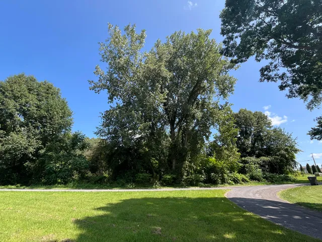 $38,900 | Vl West Oak Drive, Decatur, MI 49045