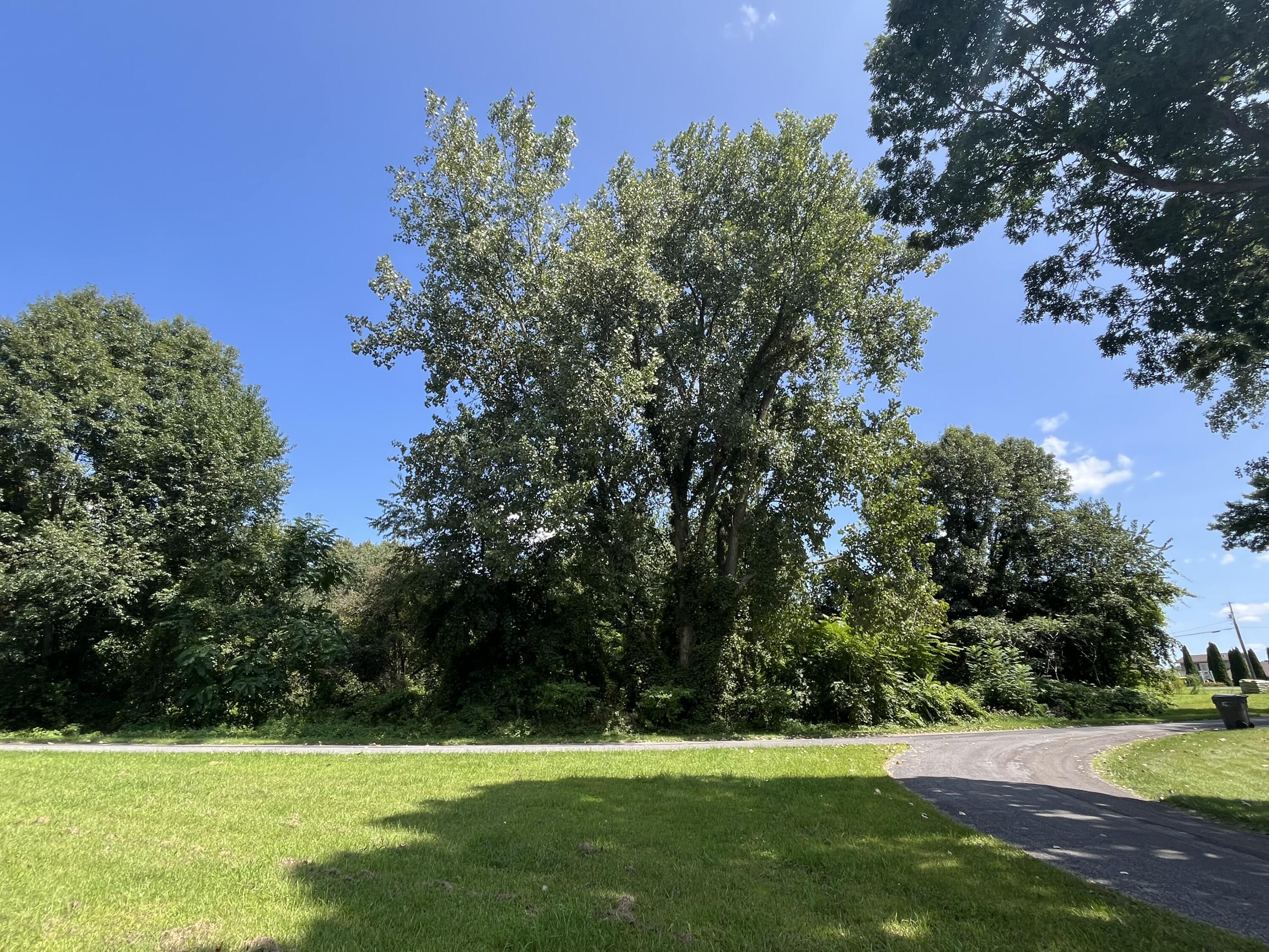 Vl West Oak Drive Decatur, MI 49045 - Photo 2 of 18 Lot 21