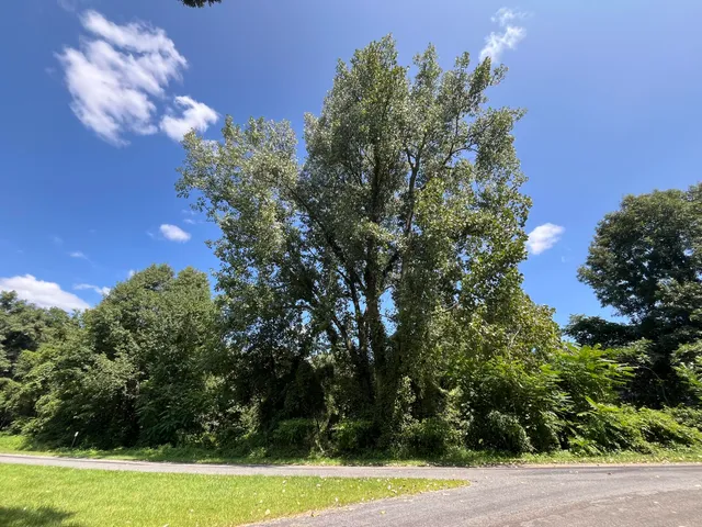 $38,900 | Vl West Oak Drive, Decatur, MI 49045