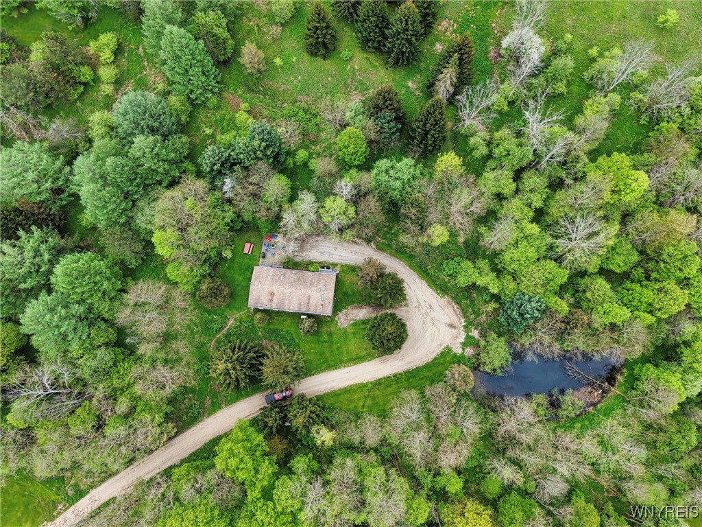 5556 Bryant Hill Road Ellicottville, NY 14731 - Photo 47 of 48