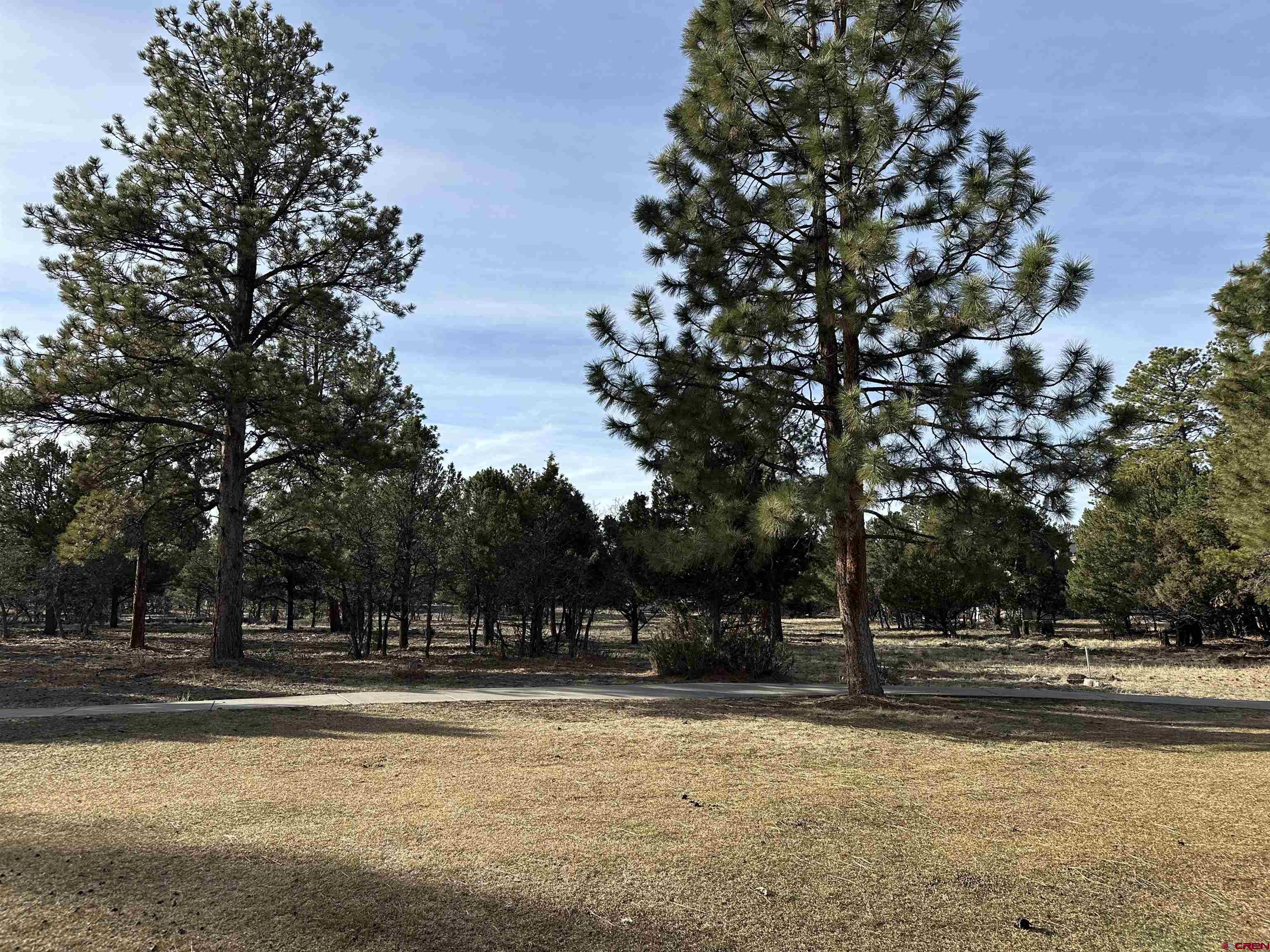 120 Puma Lane Ridgway, CO 81432 - Photo 4 of 9