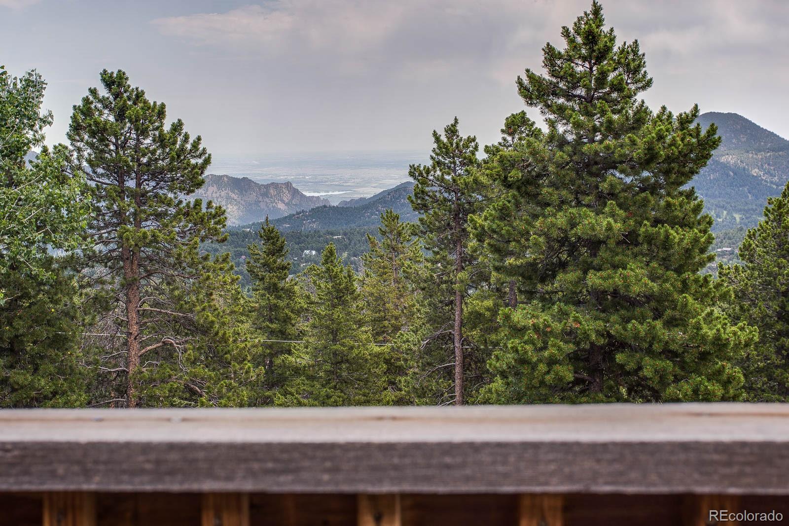 255 Divide View Drive Golden, CO 80403 - Photo 20 of 31