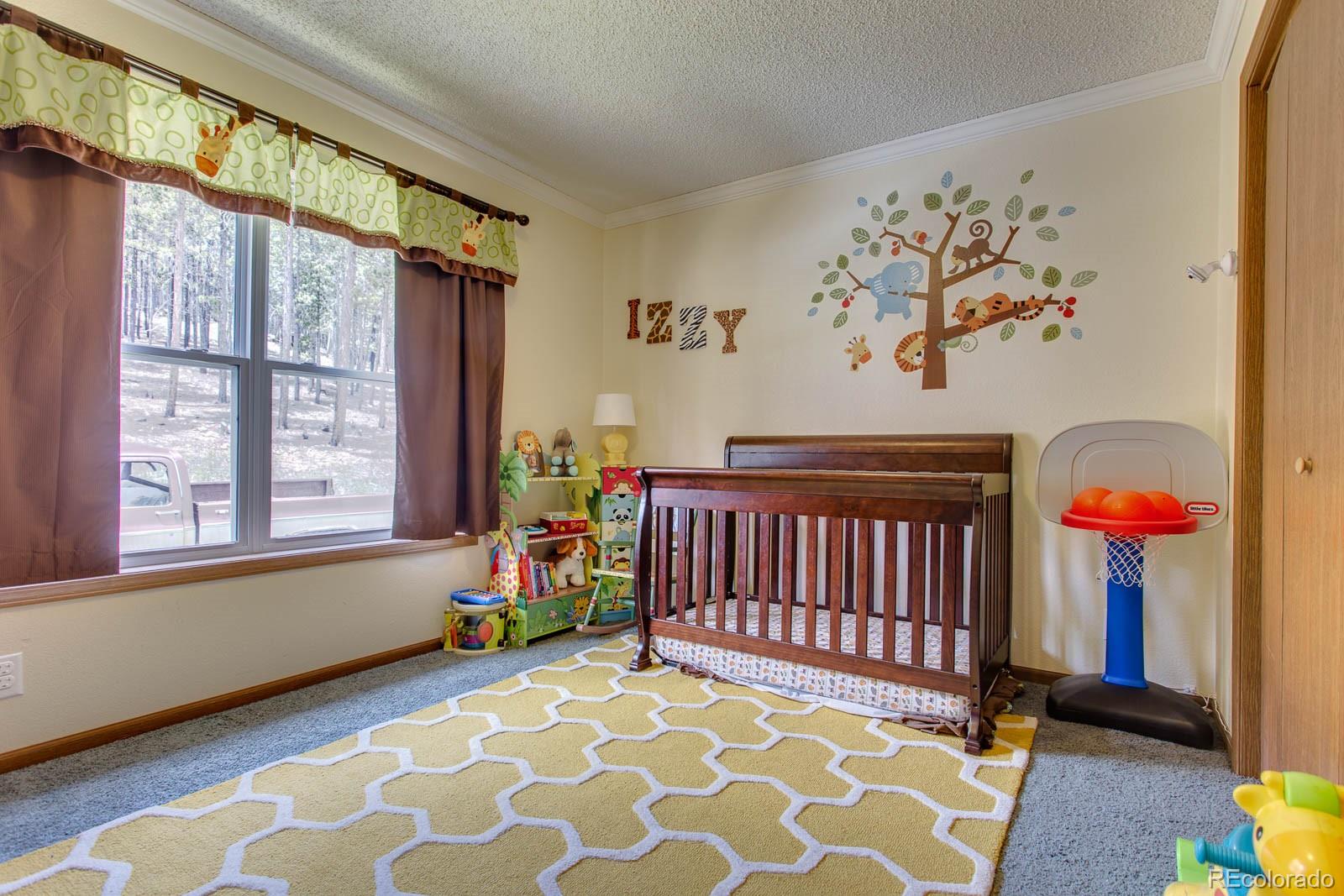 255 Divide View Drive Golden, CO 80403 - Photo 22 of 31