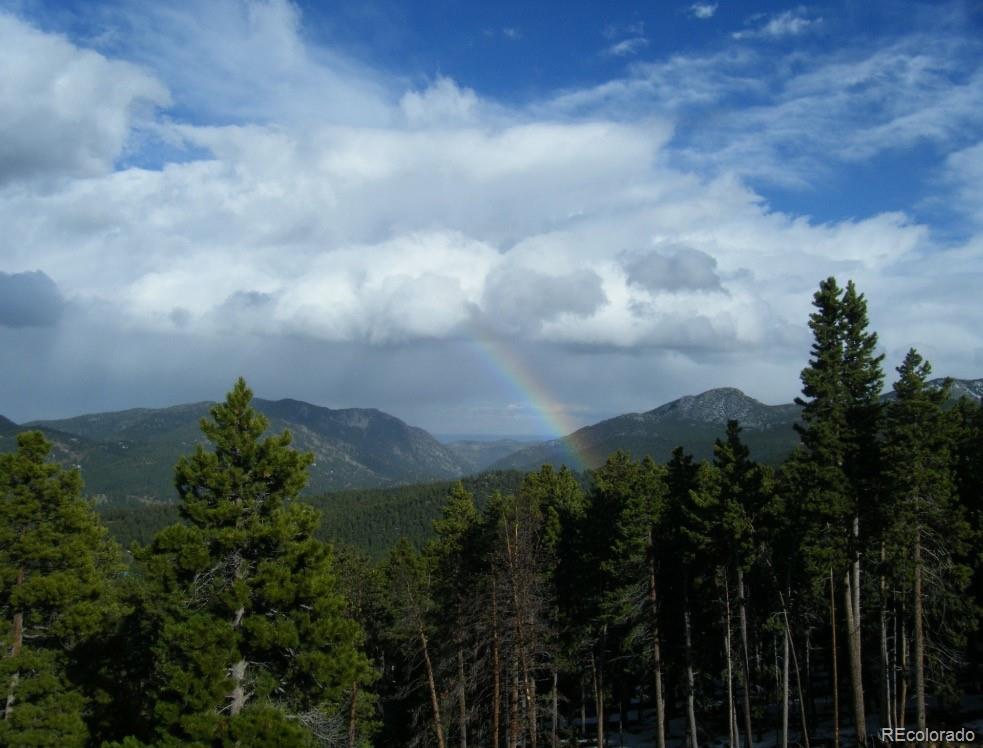255 Divide View Drive Golden, CO 80403 - Photo 28 of 31