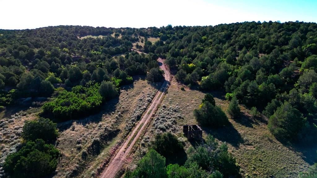 Tbd Bear Creek Road Walsenburg, CO 81089 - Photo 16 of 37