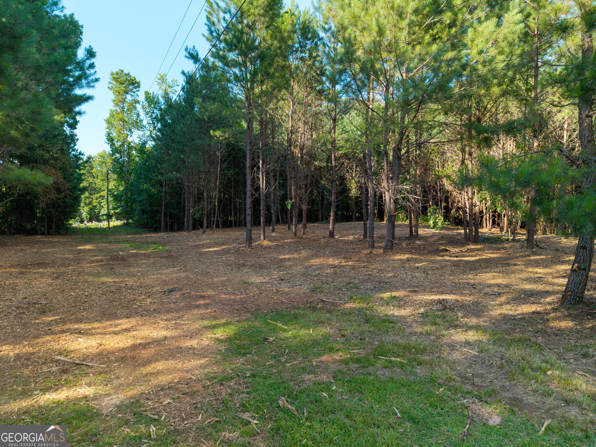 0 Hair Lake Road Summerville, GA 30747 - Photo 24 of 28