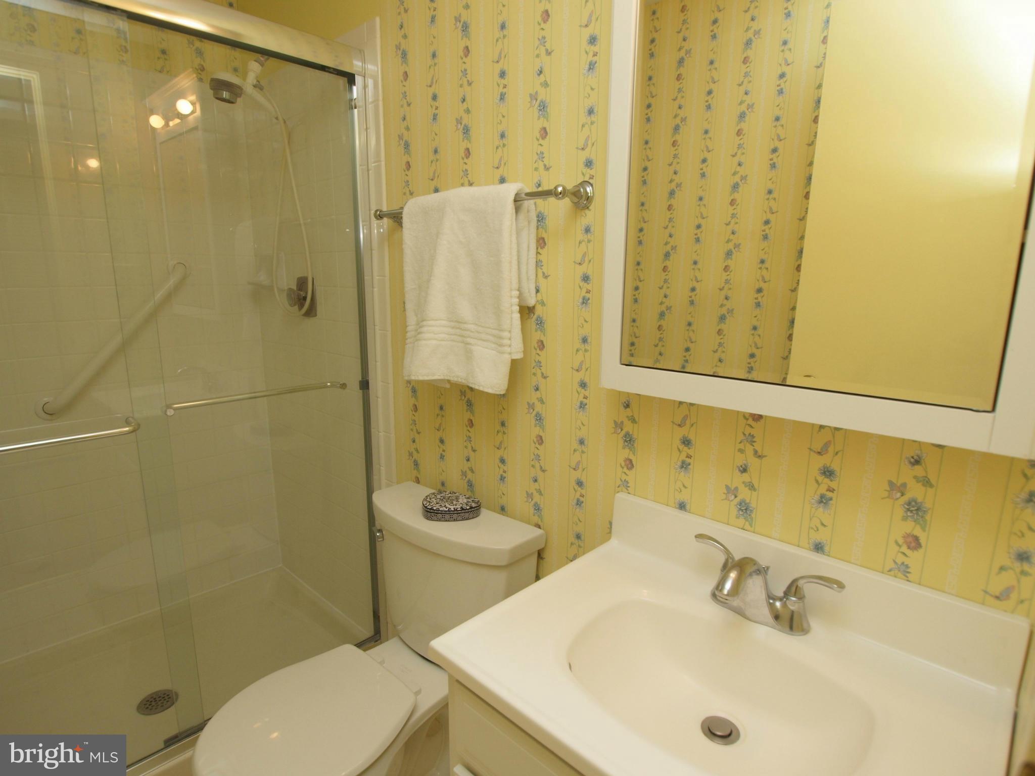 9906 Manet Road Burke, VA 22015 - Photo 17 of 30 Bath (Master)