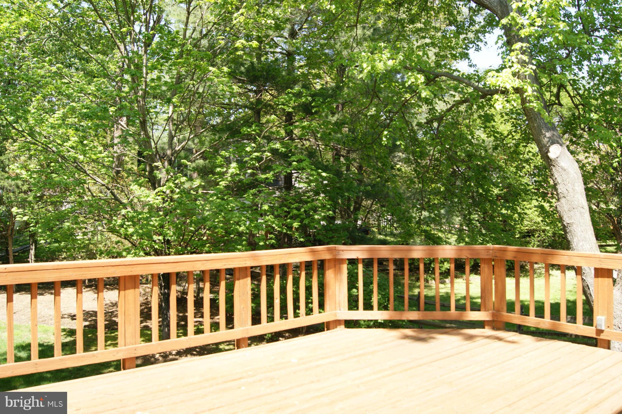 9906 Manet Road Burke, VA 22015 - Photo 25 of 30 Spacious Deck