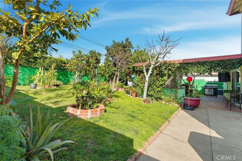 13435 Chase Street Arleta, CA 91331 - Photo 16 of 22 Backyard