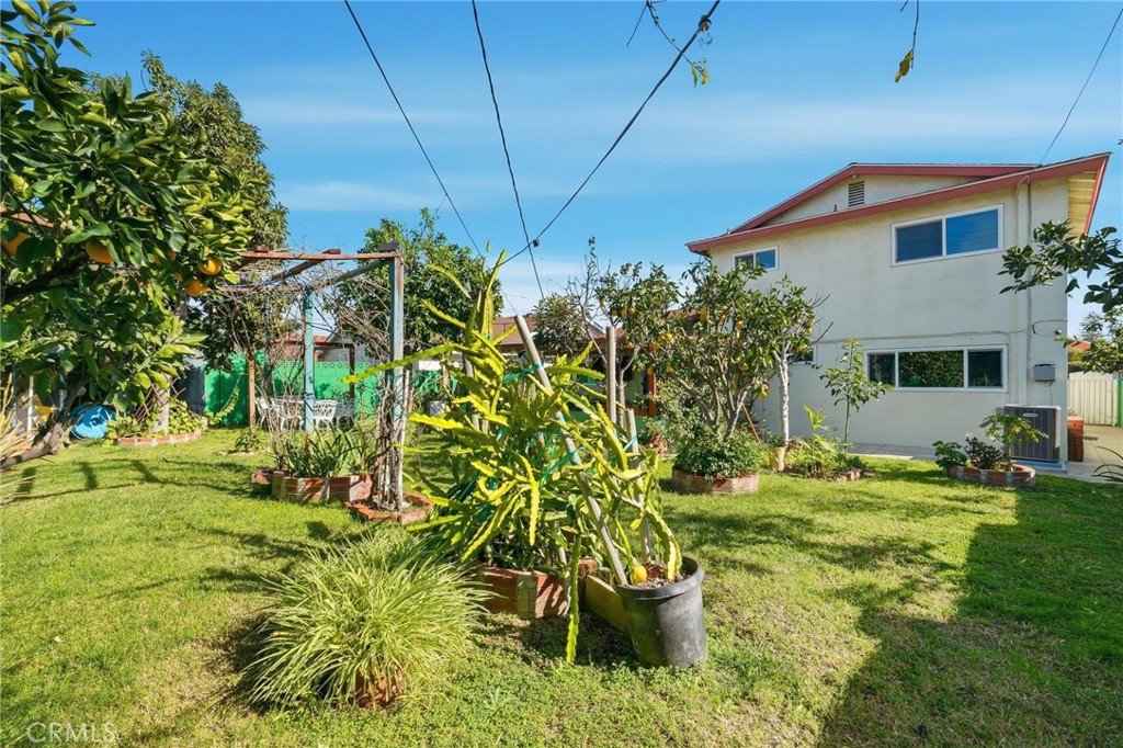 13435 Chase Street Arleta, CA 91331 - Photo 17 of 22 Backyard