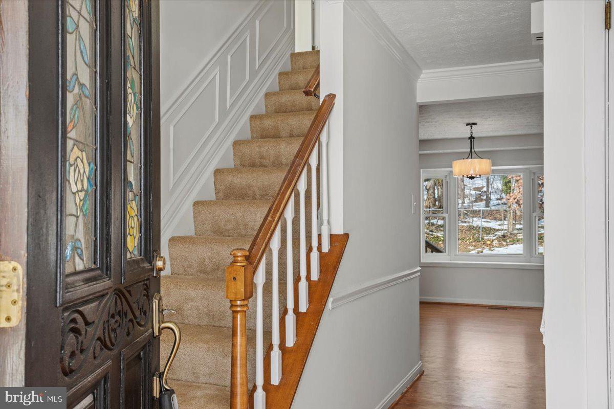 5711 Heming Avenue Springfield, VA 22151 - Photo 9 of 55