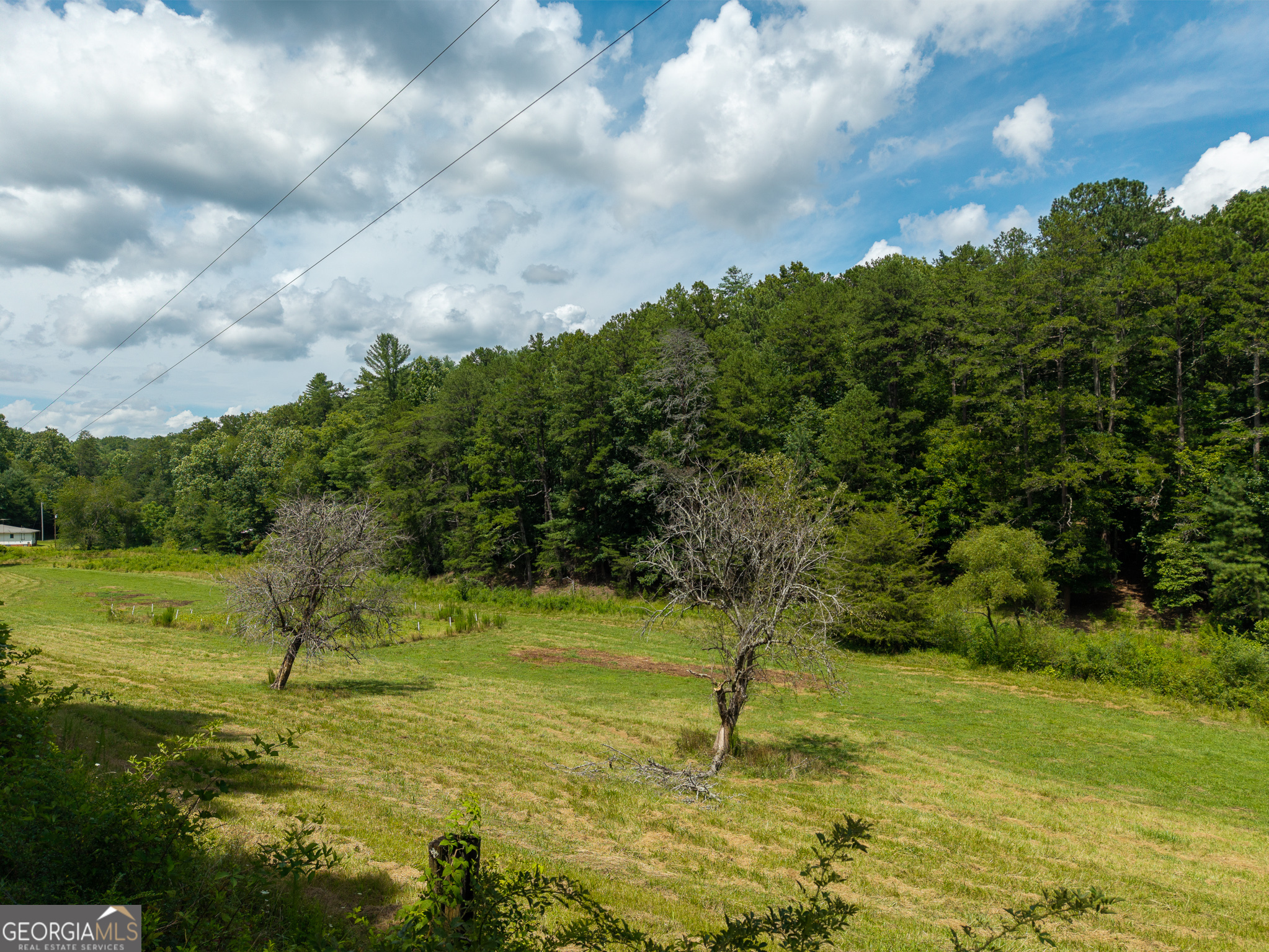 0 White Pine Road McCaysville, GA 30555 - Photo 26 of 32 Gallery Image 26