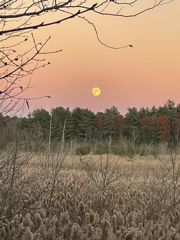 18 Franklin Hunt Road Rockland, MA 02370 - Photo 23 of 24