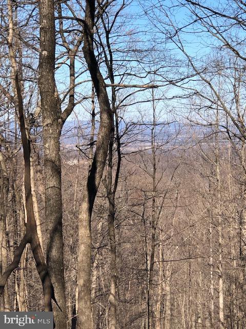Farm Road Linden, VA 22642 - Photo 1 of 3 Gallery Image 1