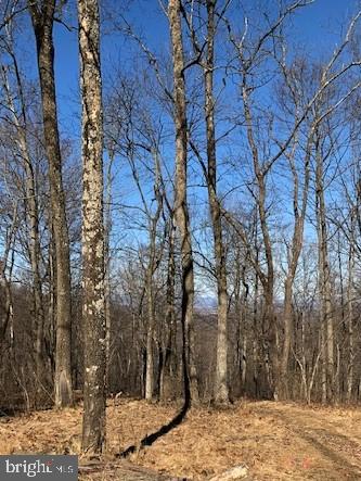 Farm Road Linden, VA 22642 - Photo 2 of 3 Gallery Image 2