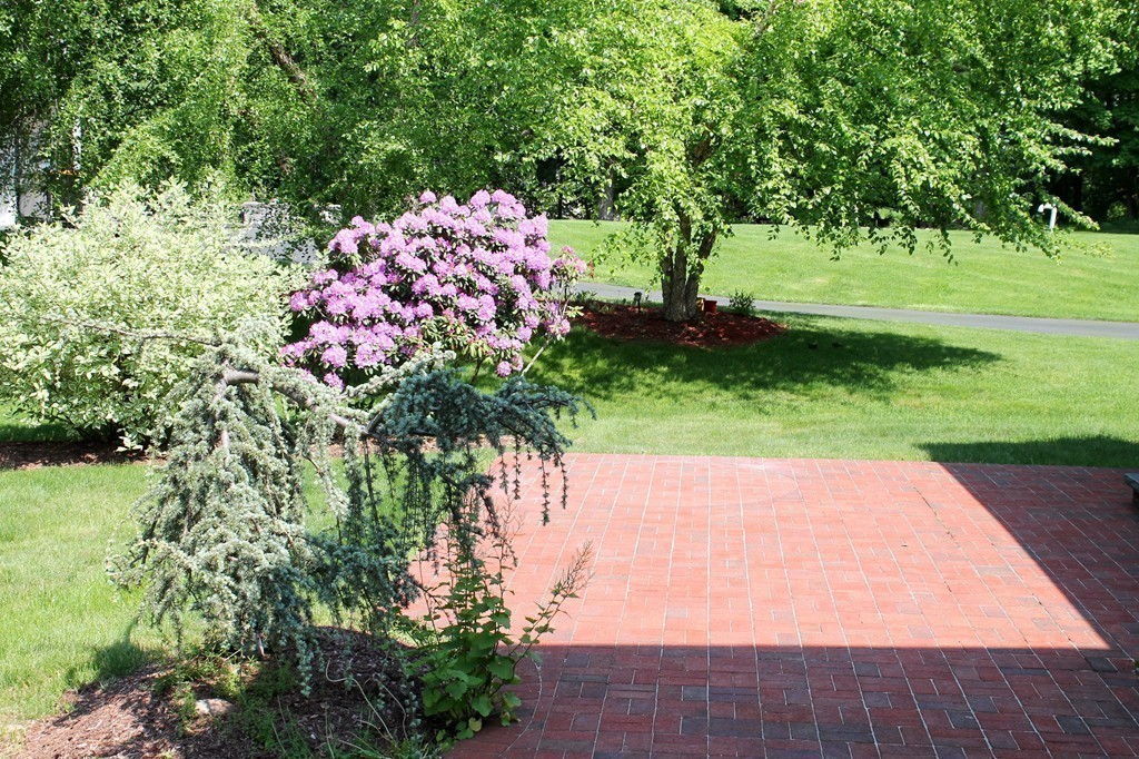99 Parmenter Road Framingham, MA 01701 - Photo 25 of 30