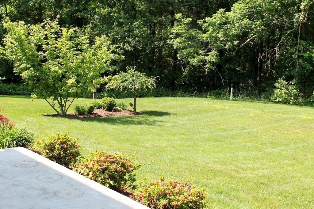99 Parmenter Road Framingham, MA 01701 - Photo 26 of 30 a view of a garden with an outdoor space