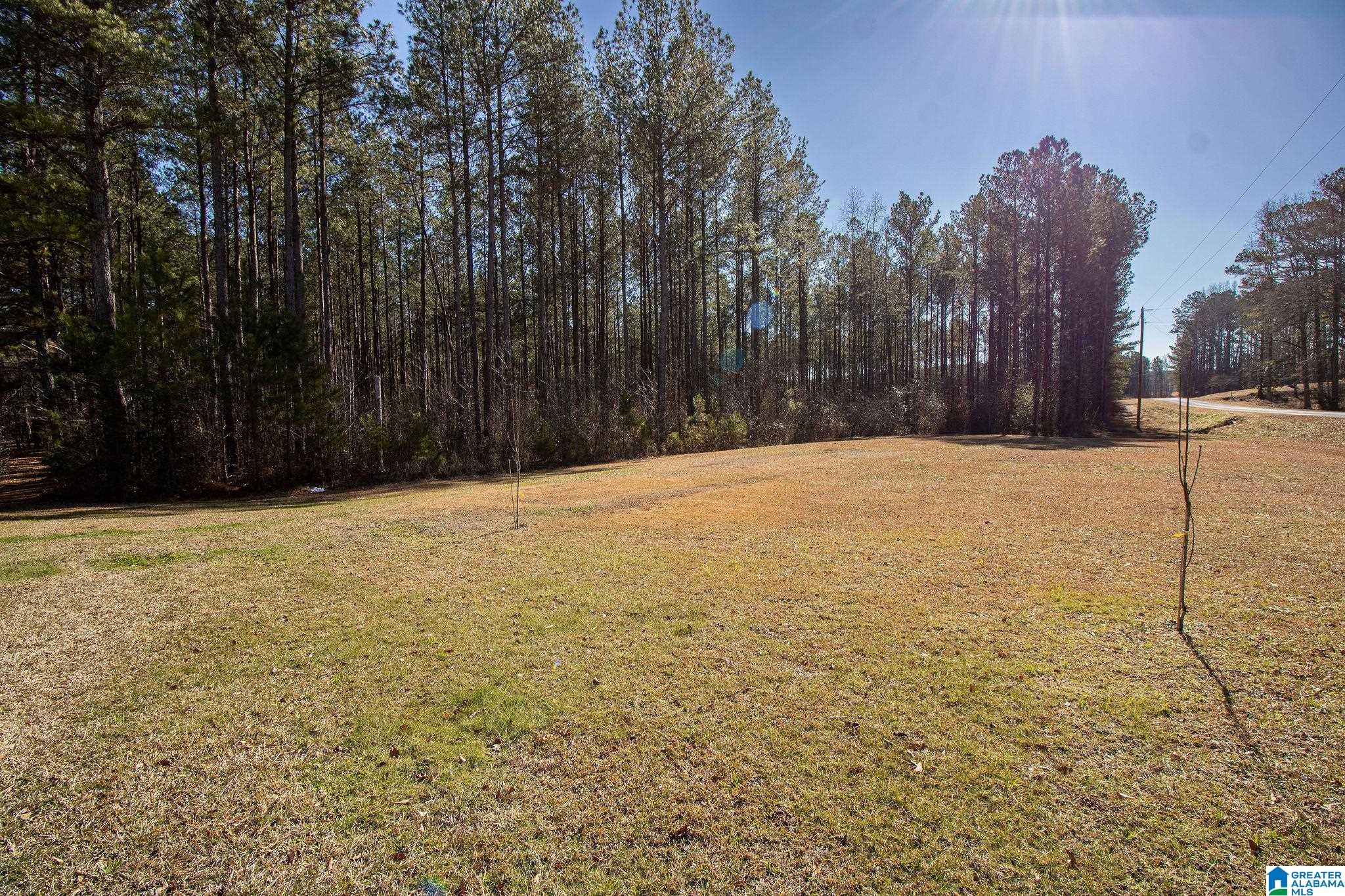 1809 Blue Ridge Road Lineville, AL 36266 - Photo 53 of 69