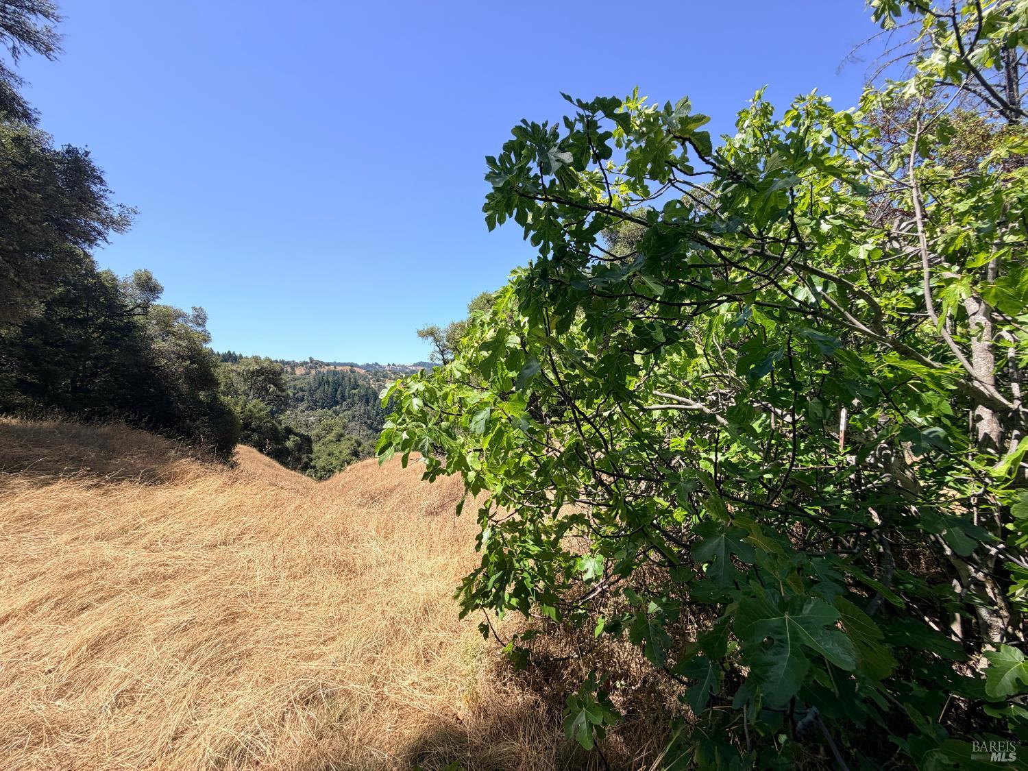 3701 Radical Ridge Road Redwood Valley, CA 95470 - Photo 31 of 42