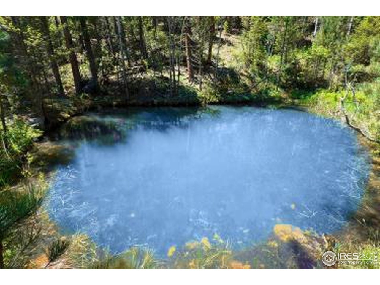18673 Highway 7 Lyons, CO 80540 - Photo 14 of 39 Year round spring fed pond bring wildlife in and create a peaceful respite