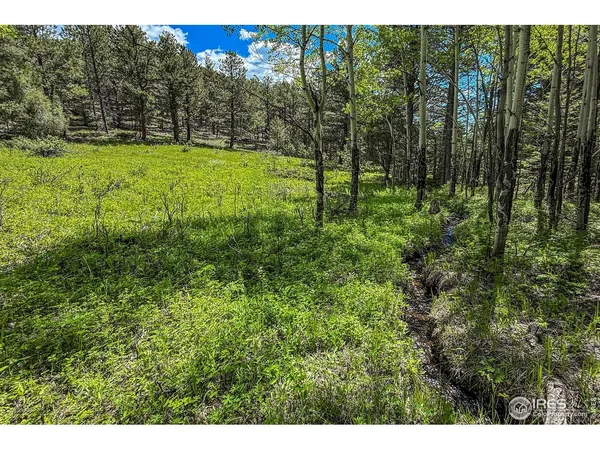 $2,500,000 | 18673 Highway 7, Lyons, CO 80540