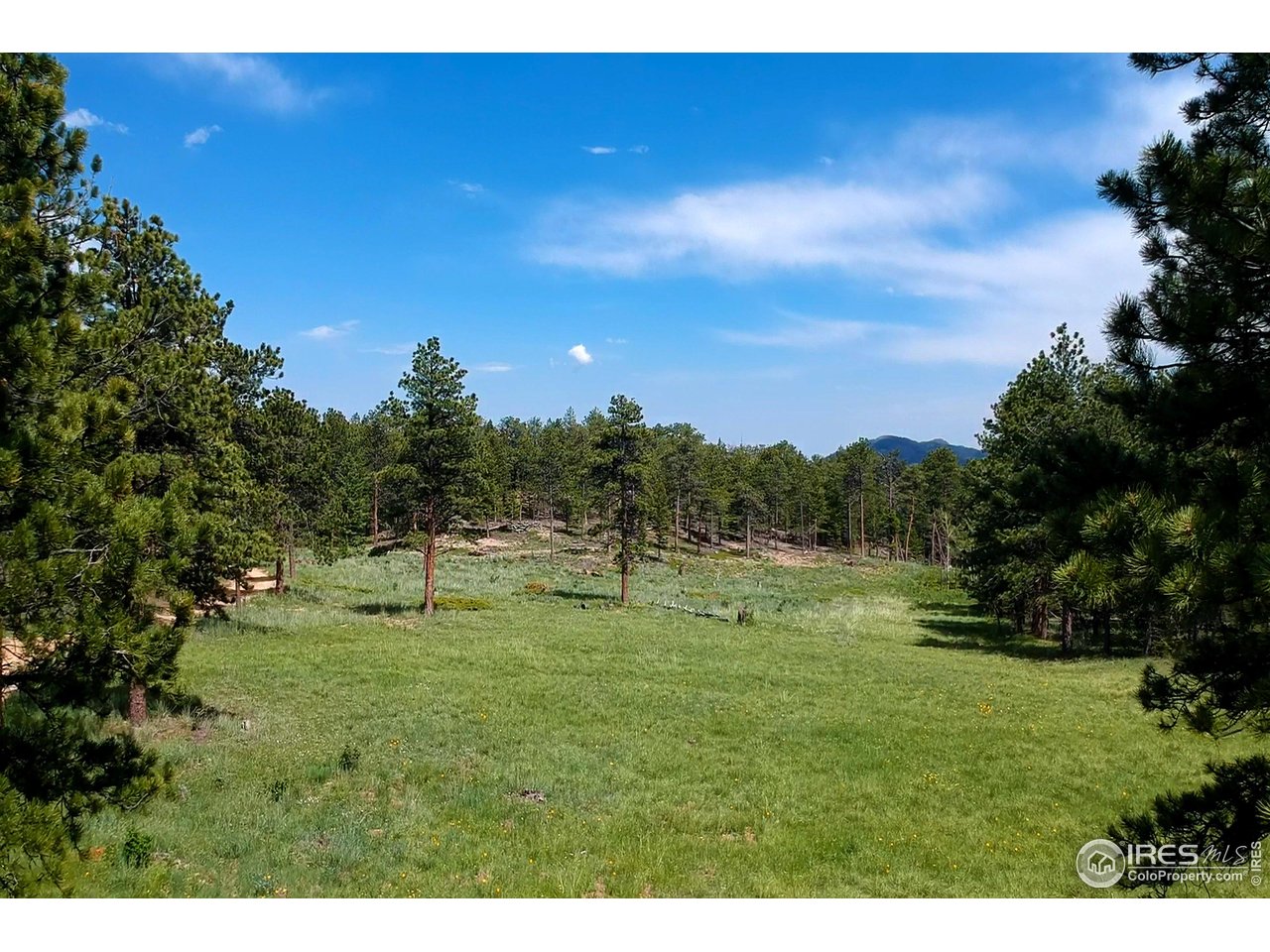 18673 Highway 7 Lyons, CO 80540 - Photo 16 of 39 This meadow, affectionately called "deer meadow", greets you each time you visit the cabin with a plethora of wildflowers