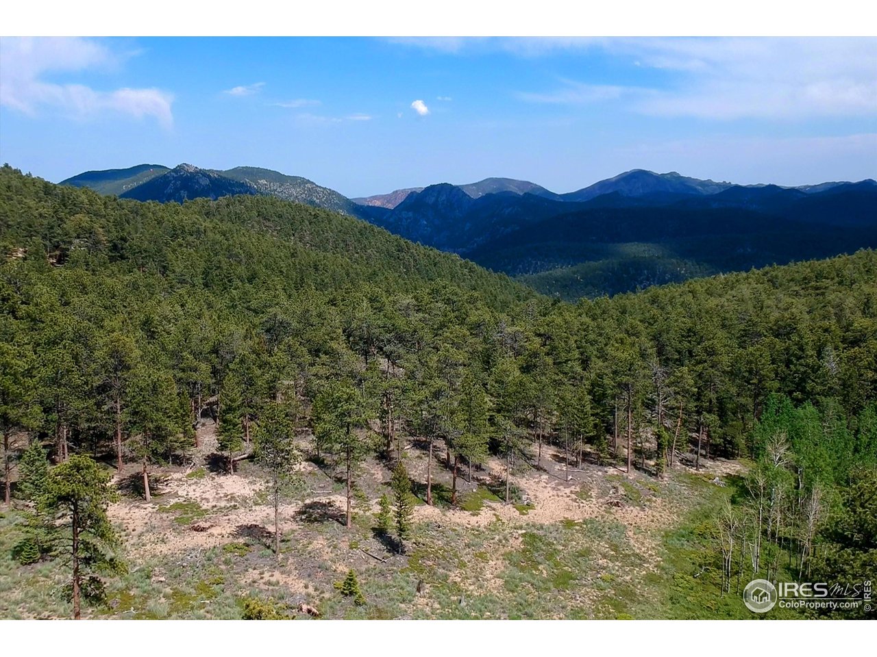 18673 Highway 7 Lyons, CO 80540 - Photo 17 of 39 This is near the east meadow. The higher elevation opens up big sky views for miles!