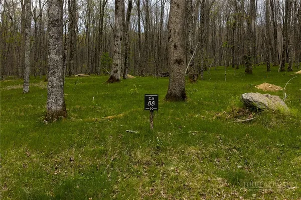 $229,000 | Es-88 Lands End Trail, Beech Mountain, NC 28604