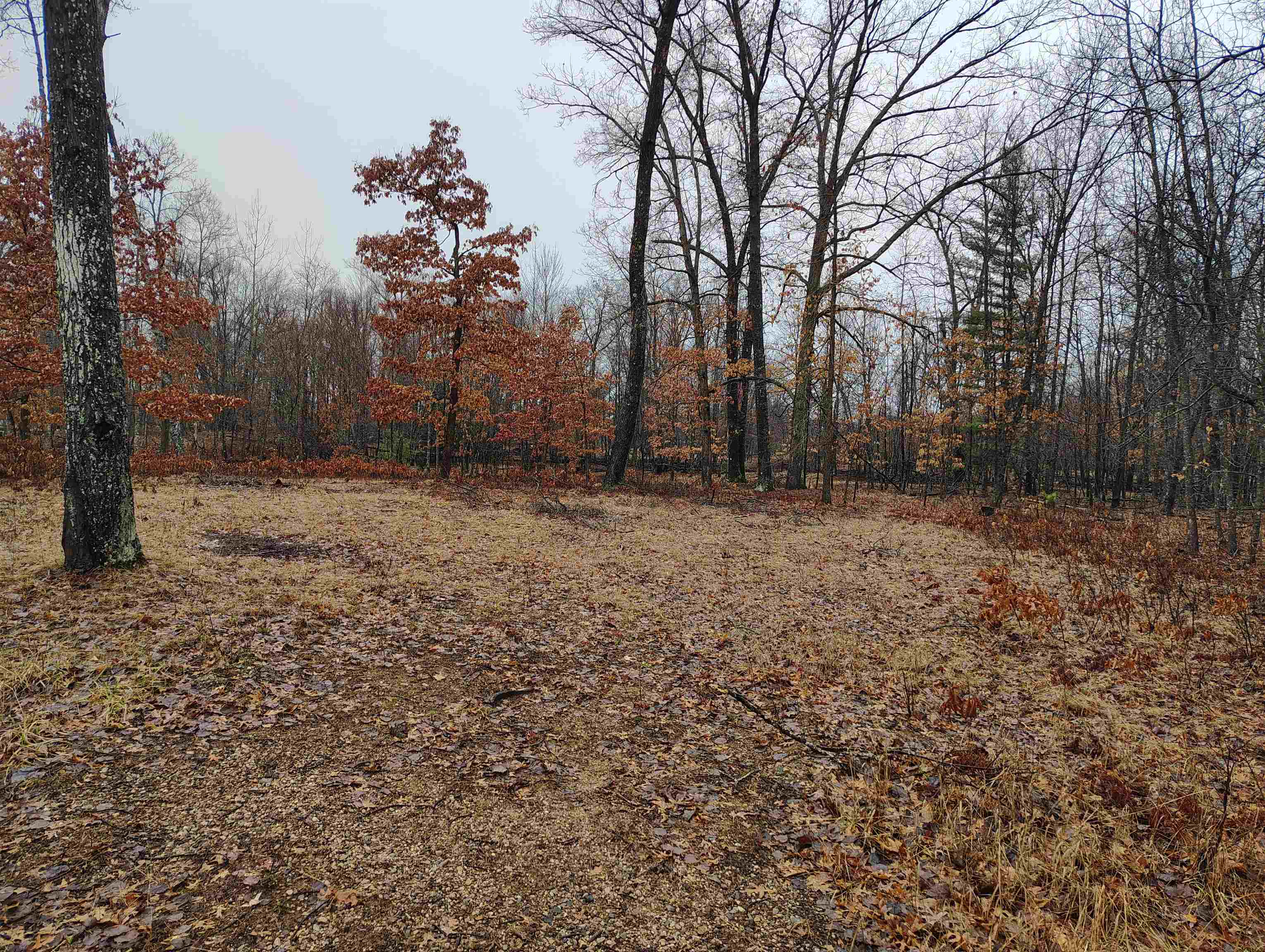 0 Maple Road, Unit LOT: 88 LOT: 88 Gladwin, MI 48624 - Photo 3 of 15