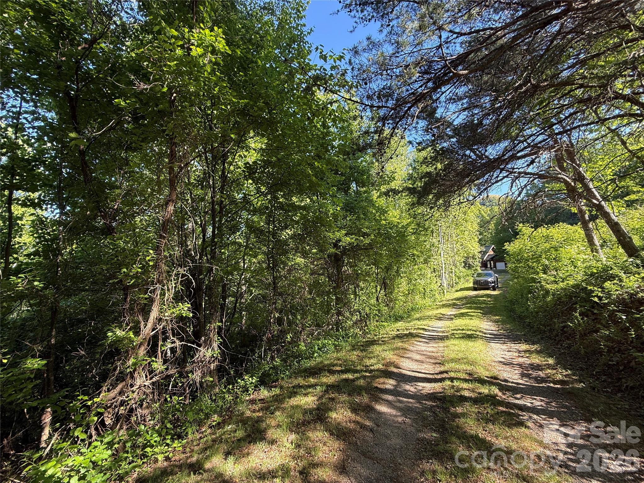 9999 Hunters Ridge Road Canton, NC 28716 - Photo 8 of 19