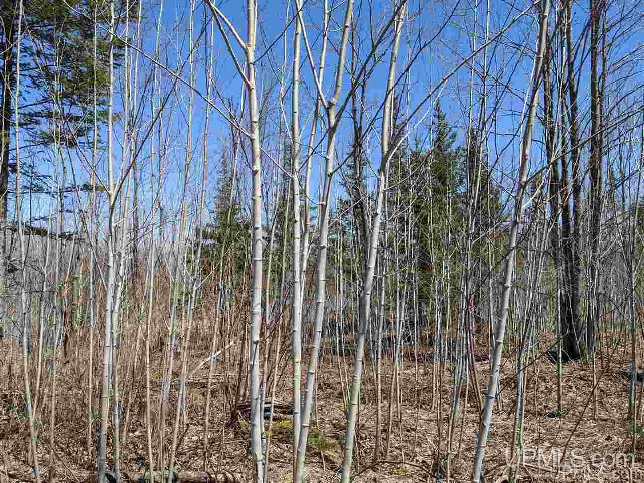 Tbd Off Leeman Road, Unit SENW NESW Sagola, MI 49881 - Photo 1 of 18