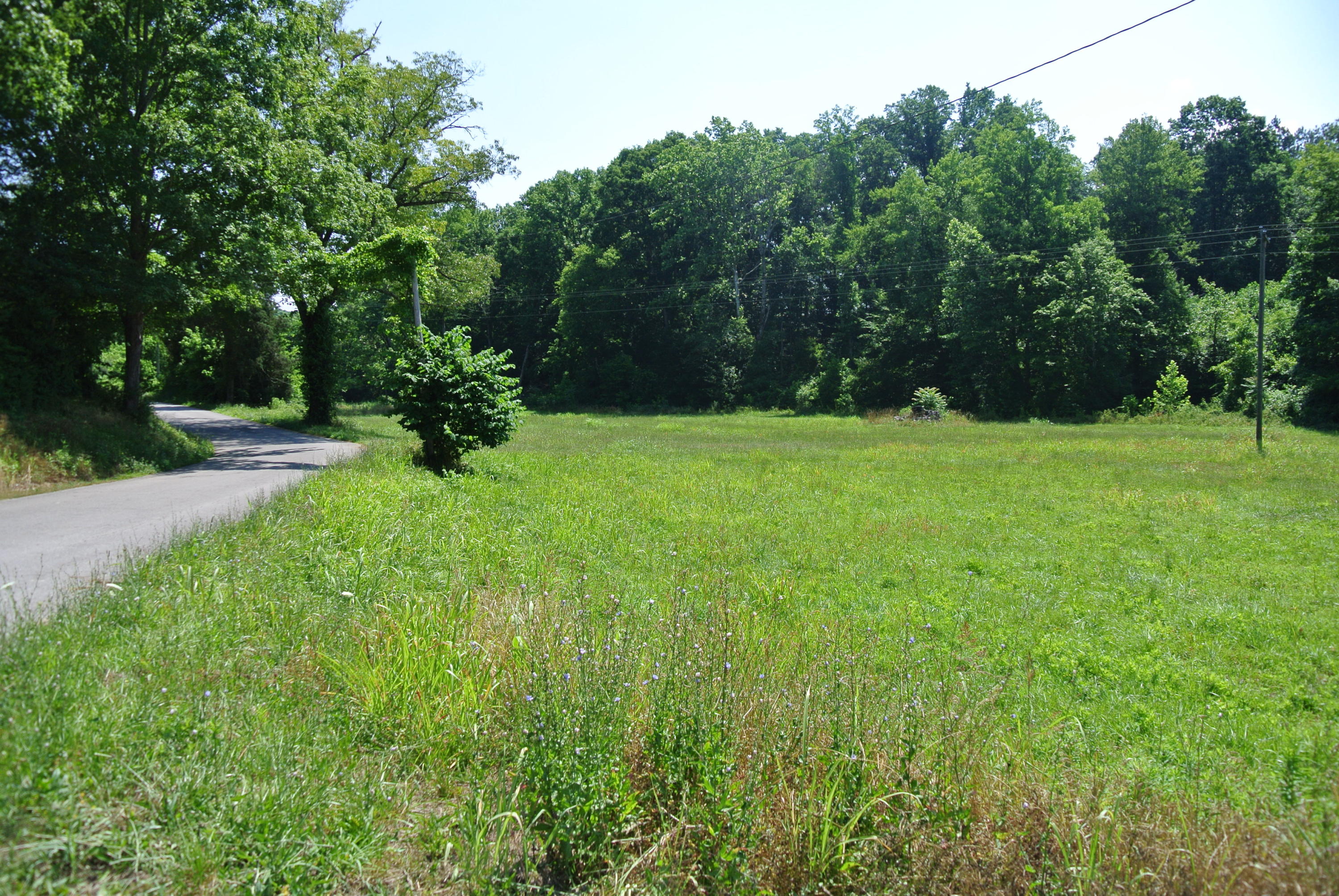 Sweetwater Road Philadelphia, TN 37846 - Photo 1 of 8 DSC_1724