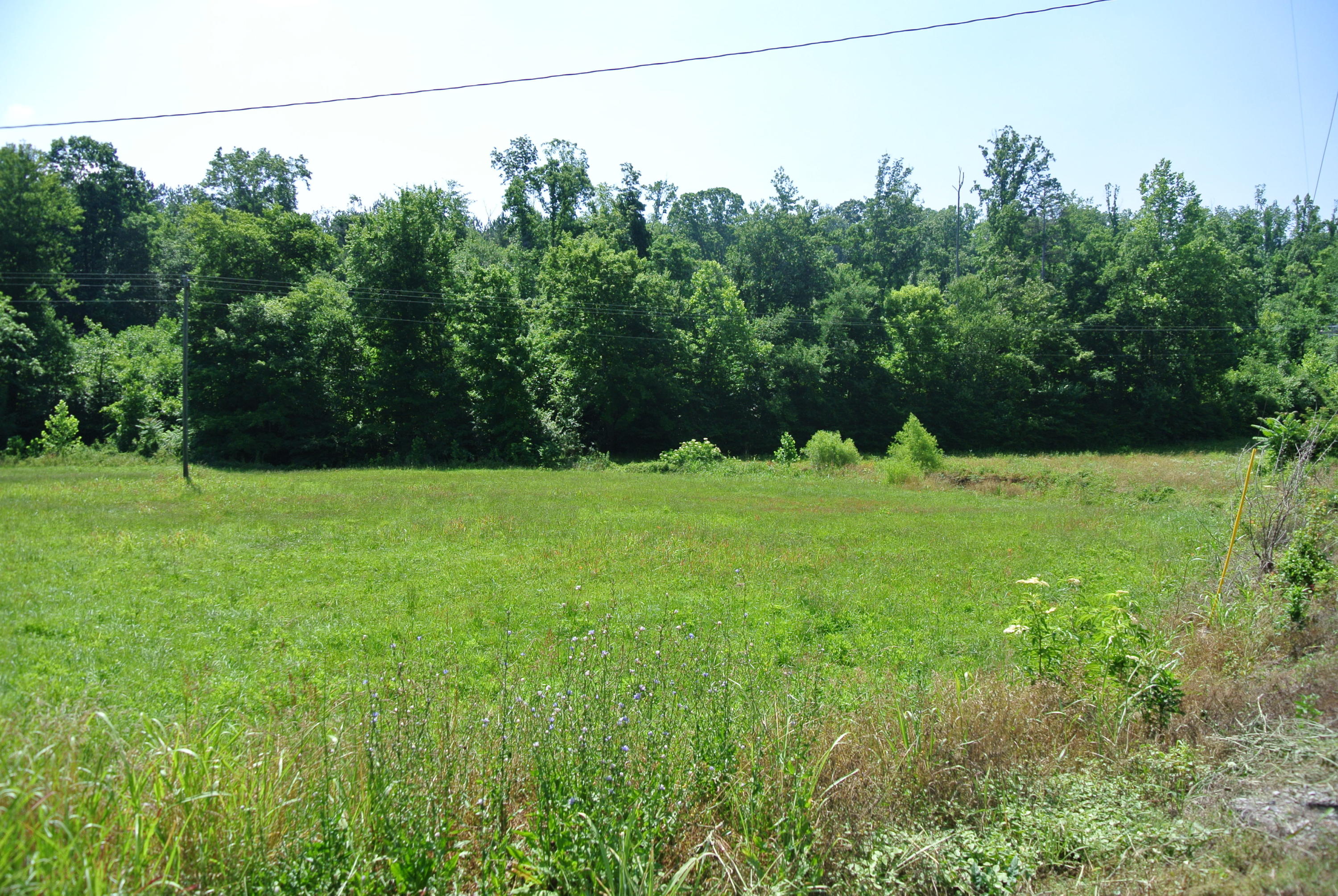 Sweetwater Road Philadelphia, TN 37846 - Photo 2 of 8 DSC_1725