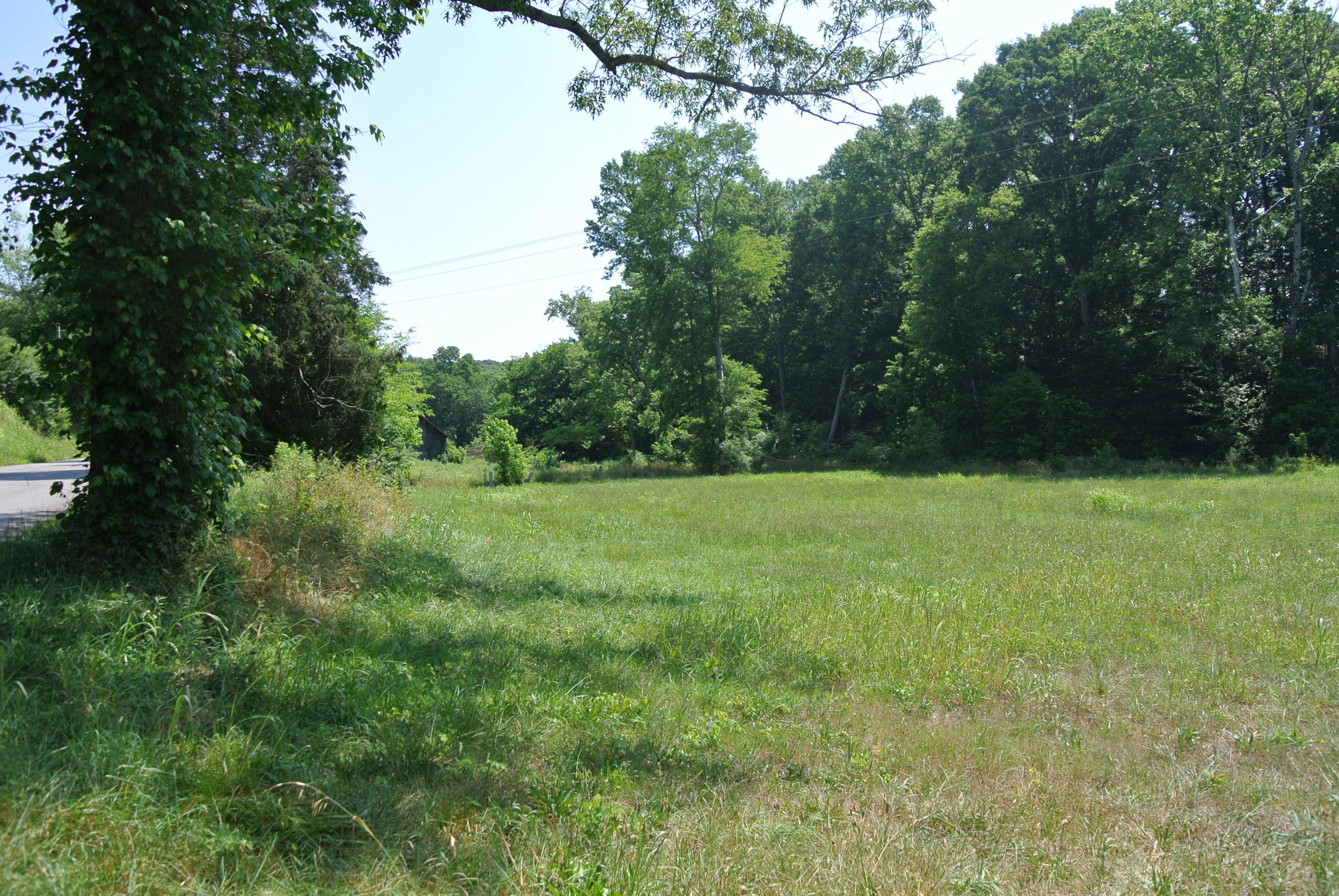 Sweetwater Road Philadelphia, TN 37846 - Photo 5 of 8 DSC_1729