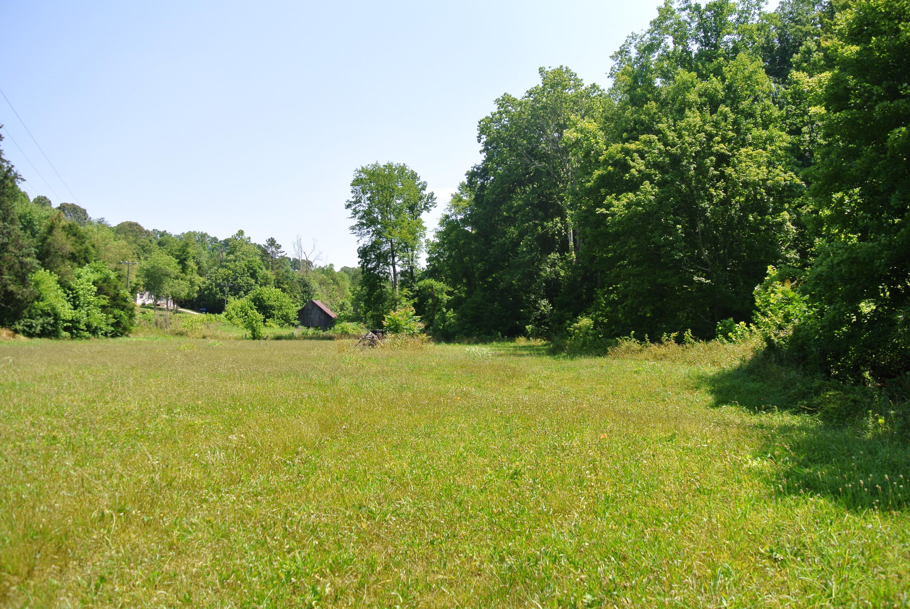 Sweetwater Road Philadelphia, TN 37846 - Photo 8 of 8 DSC_1732